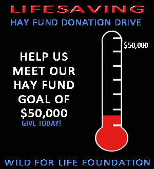 Hay Fund Donations